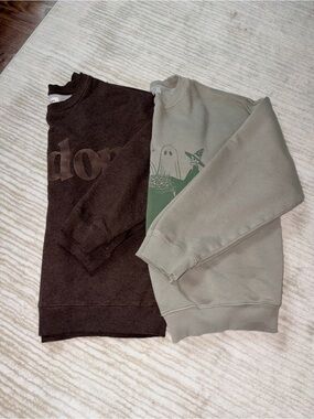 American Eagle Outfitters Crewneck Sweatshirt Duo in Dark Brown M & Sage Green S
